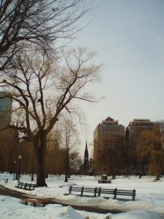 Boston Commons